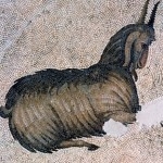 Das-Mosaikmuseum-Istanbul_1357074024